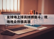 IM电竞官网-足球场上球员拼搏奋斗，现场观众热情高涨